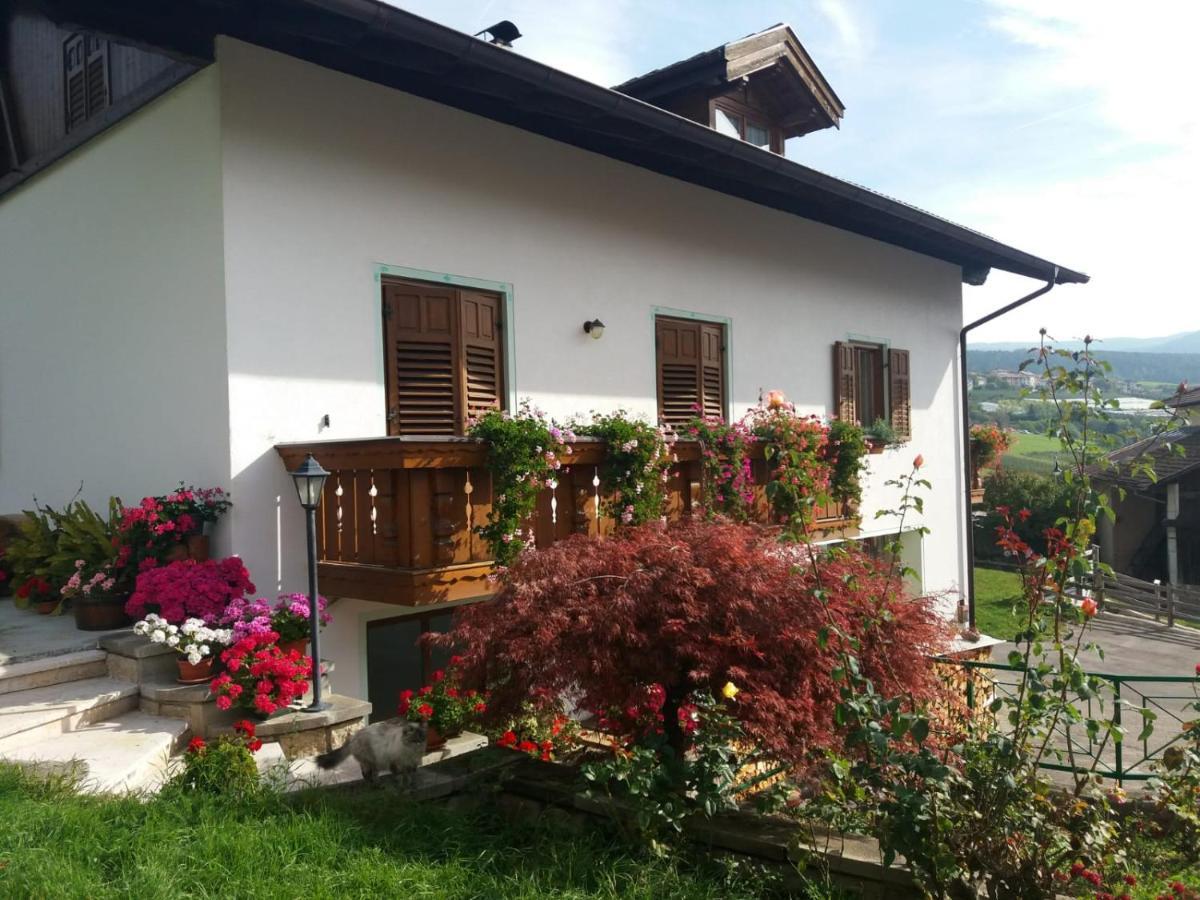 Appartamento Cologna Castelfondo Екстериор снимка