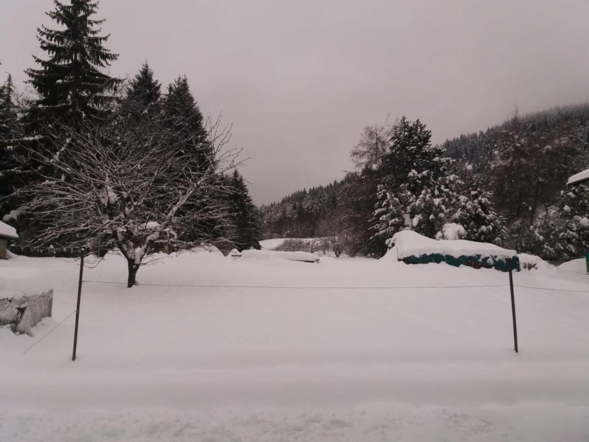 Appartamento Cologna Castelfondo Екстериор снимка